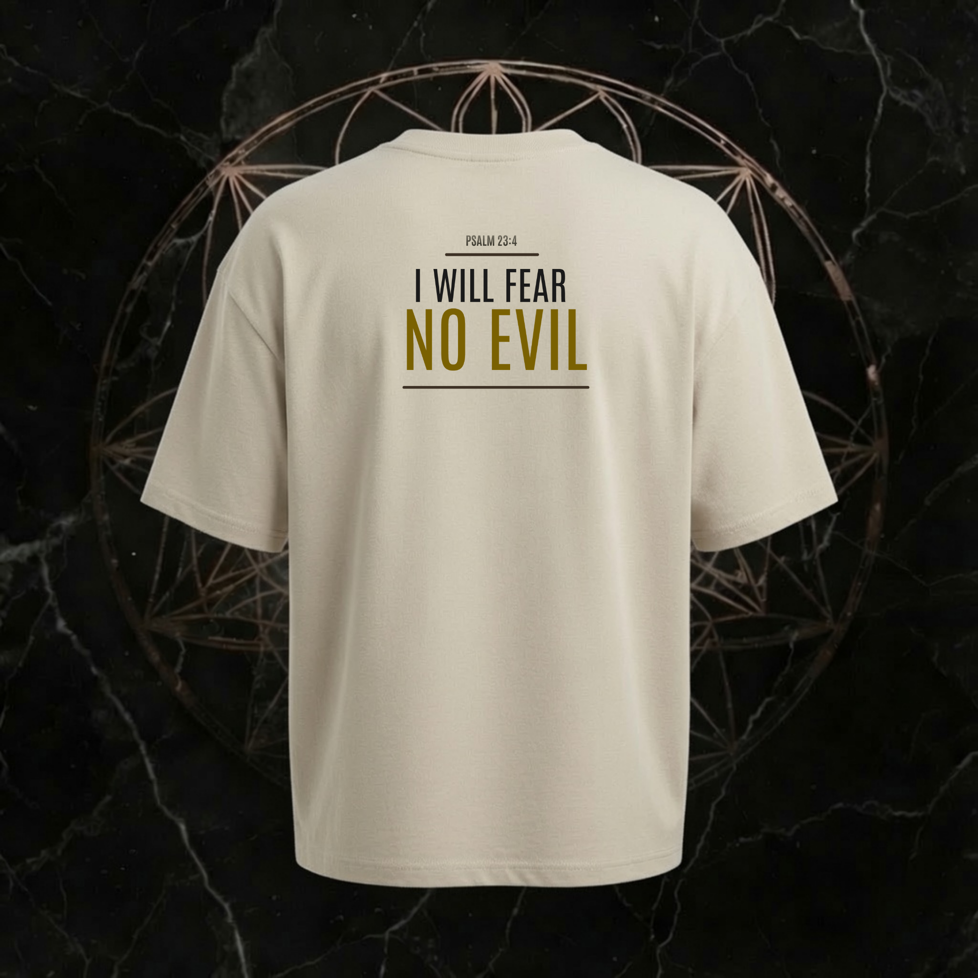 Psalm 23:4 I Will Fear No Evil Premium Tee Washed Grey – Rückseite mit kraftvollem Faith Statement